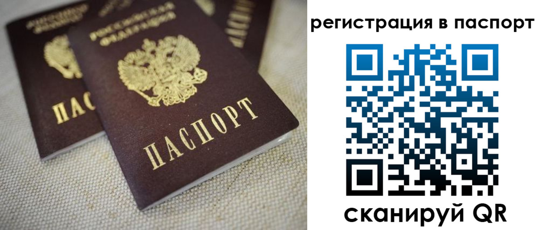 прописка гарантия в Петровске
